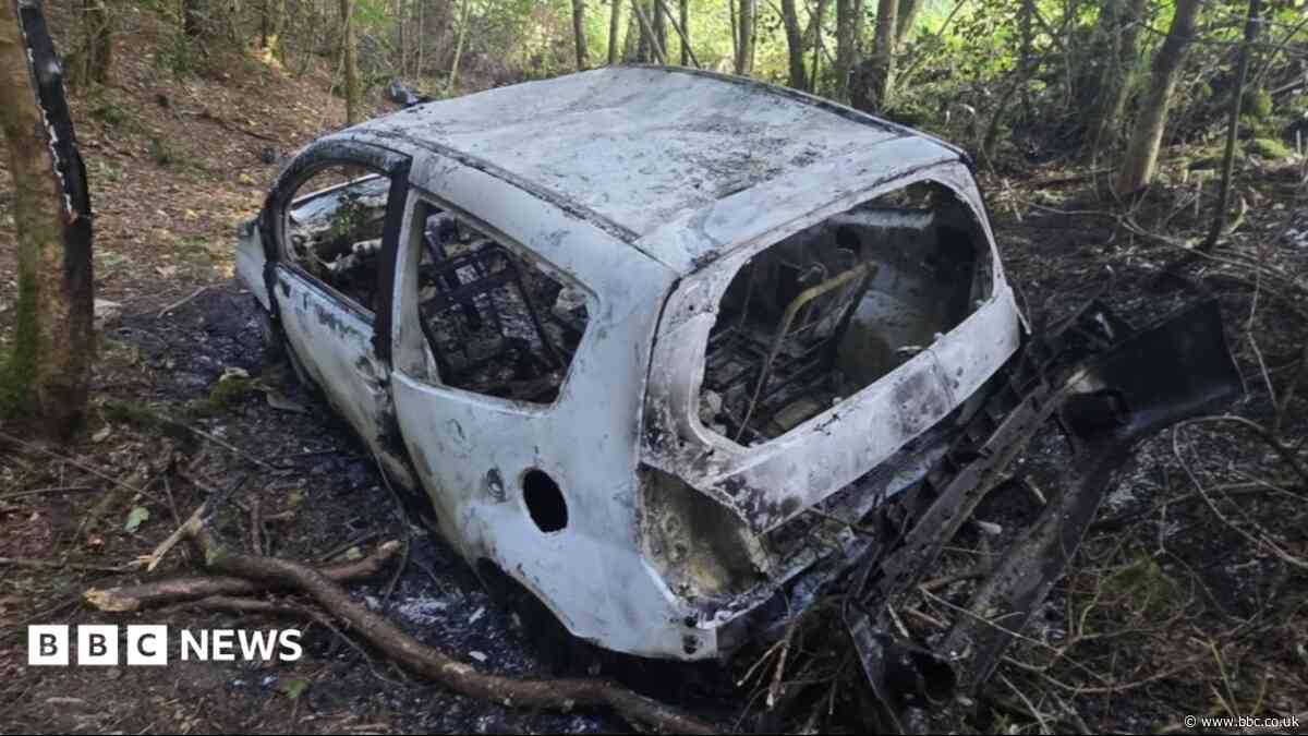 'Burnt out car' and 'bridge blown up for TV show'
