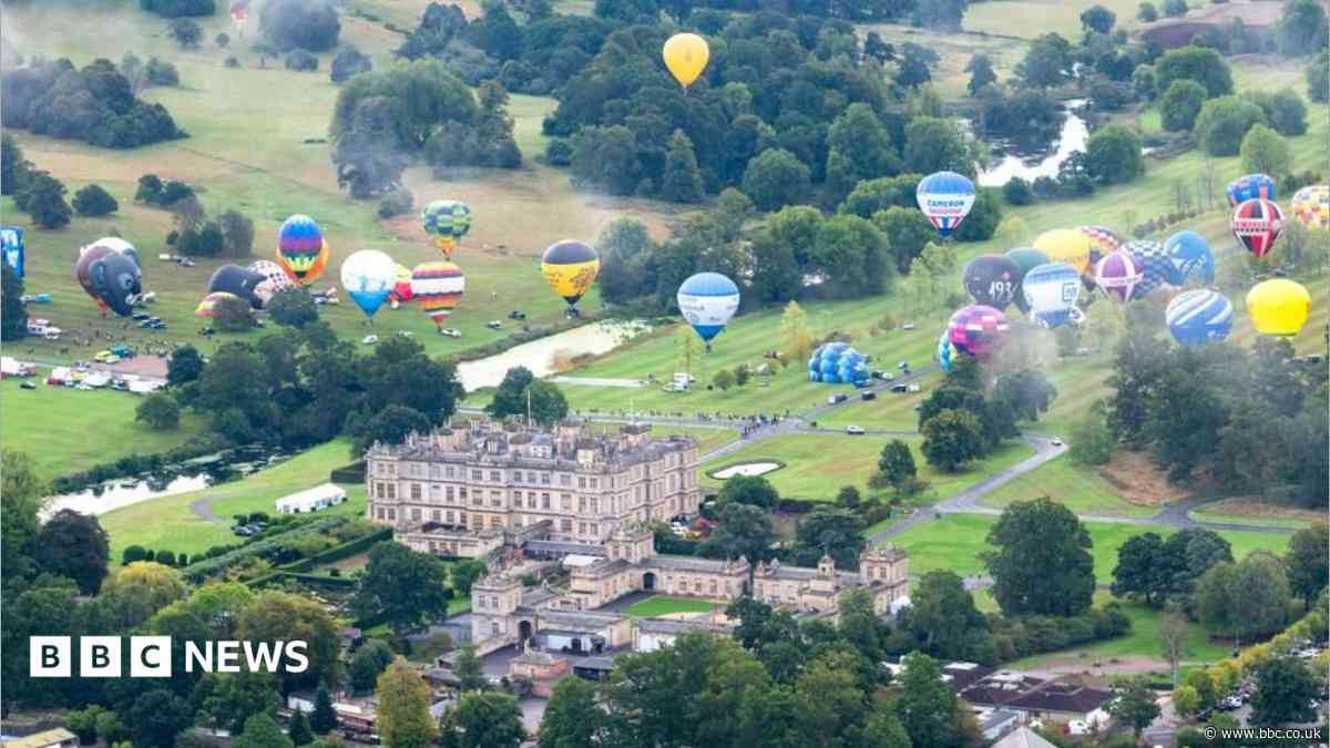 Balloons over safari park begin aviation spectacle
