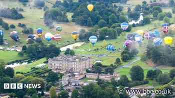 Balloons over safari park begin aviation spectacle