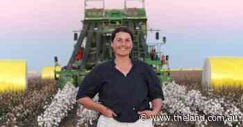 No silver bullet: simple farm strategy costs nothing but delivers big results