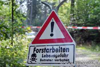 Forstarbeiten in Langenauer Struth geplant – bis Ende Dezember