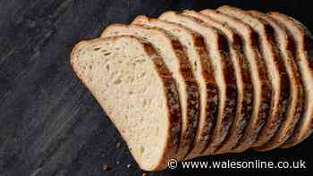 Stop bread from going stale by storing it in 1 key spot that helps it last longer
