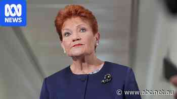 Live: Hanson offers qualified apology for remarks about Indigenous Australians, PM's mother