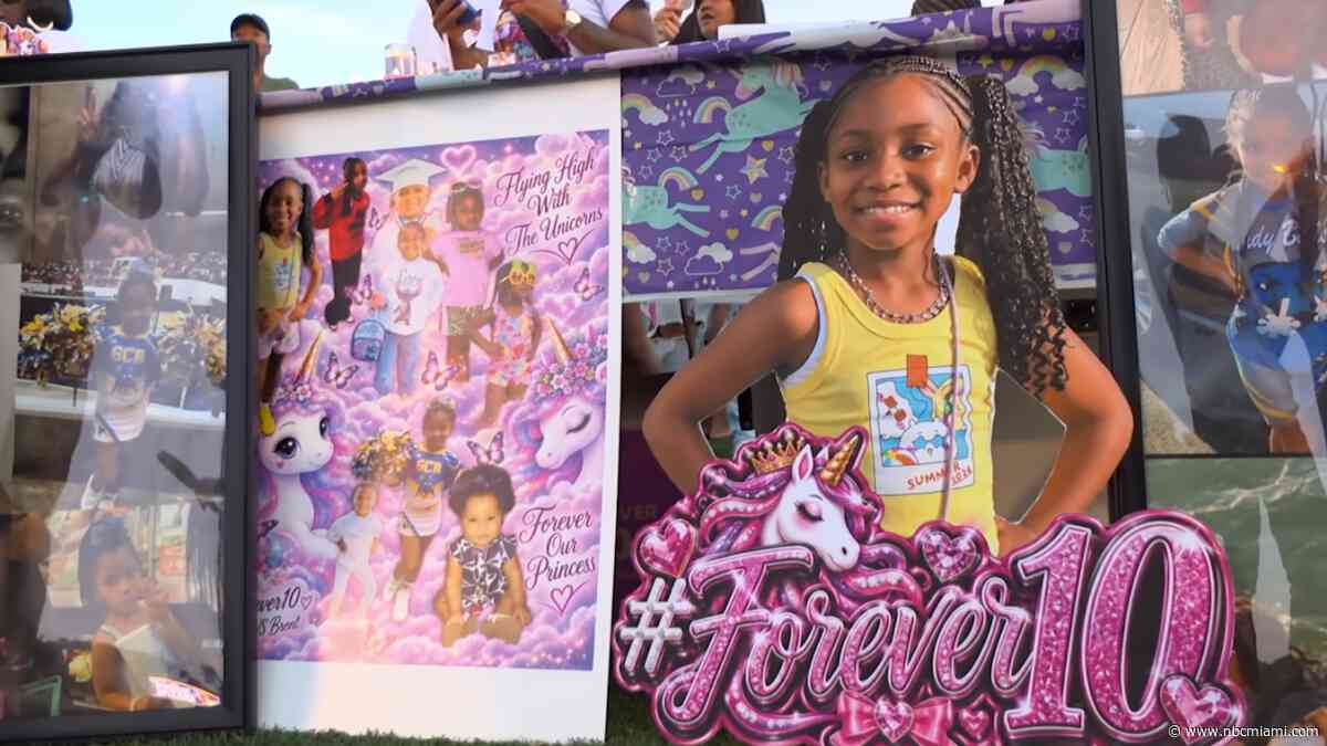 ‘Have a heart': Family of girl killed in hit-and-run pleads for driver to come forward