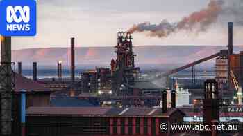 Whyalla's steelmaking gap could last years as potential job losses mount