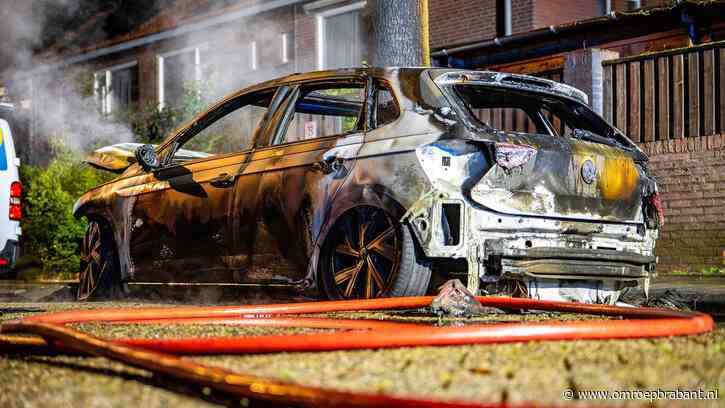 Auto uitgebrand in Oss, ook tuinhuisje, boom en busje beschadigd