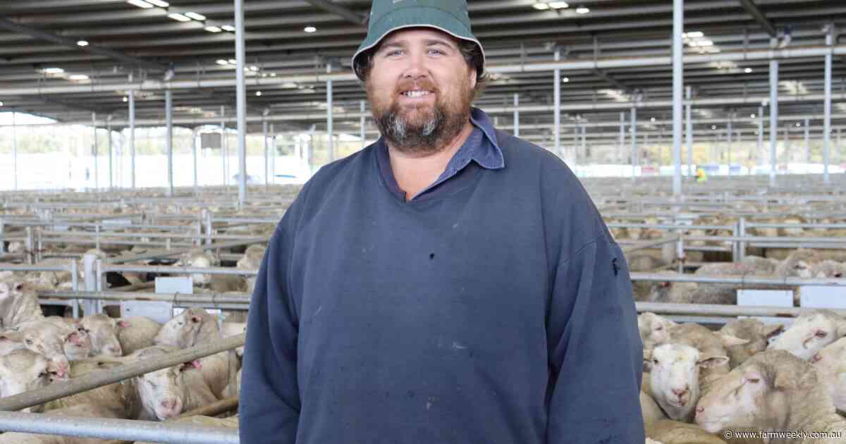 Pastures and crops struggle on just 35 per cent of yearly rainfall average
