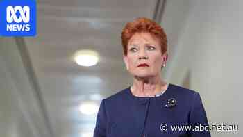 Hanson apologises if she caused offence by Indigenous Australian remarks