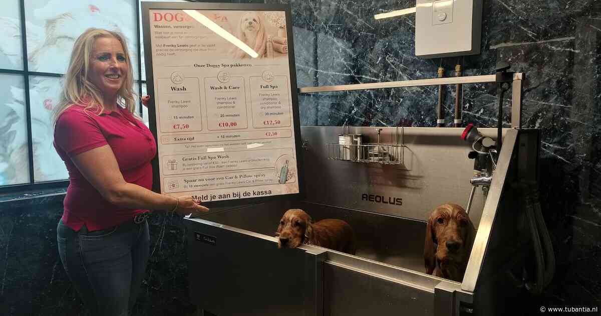 Middagje spa? In Enschede kunnen nu ook honden lekker worden verwend