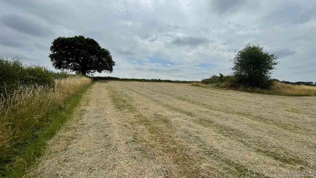 'Horrific' bid for 450 homes at Coalpit Heath decision power lost