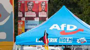 Mecklenburg-Vorpommern: Wahlkampf zwischen Euphorie und Entgeisterung