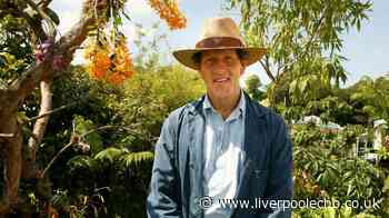 Monty Don tells gardeners to do one job now for beautiful roses next year