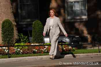 UK will ‘heed the warnings’ about AI risks, senior minister Louise Haigh to say