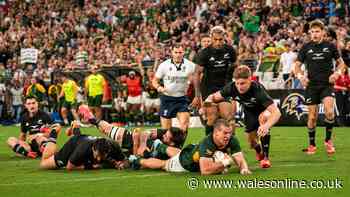 WRU hit out at 'embarrassing' claims and Springboks farce blasted by Hansen