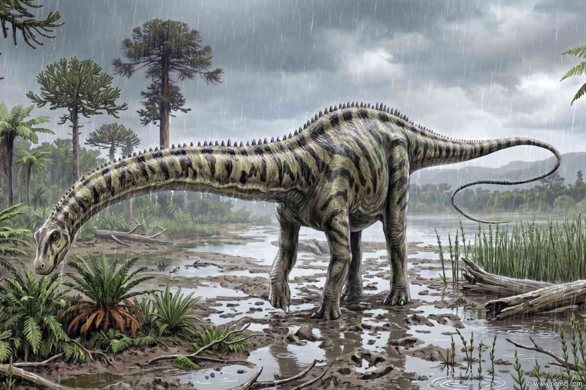 First Diplodocus fossils found outside of United States 