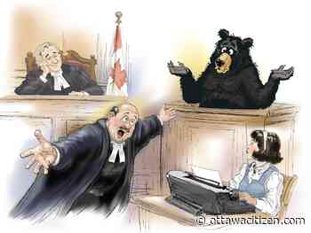 The trial that decided if a man truly outwrestled a bear