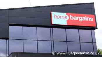 New Home Bargains £15 'winter warmer' item brings 'cosy luxury to any room'