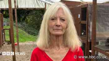 Cat rescue centre seeing surge in strays