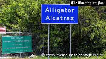 „Wie Hundezwinger“: DHS-Bericht deckt unmenschliche Zustände in Alligator Alcatraz auf