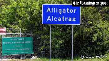 „Wie Hundezwinger“: DHS-Bericht deckt unmenschliche Zustände in Alligator Alcatraz auf