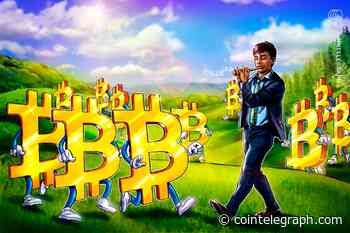 Bitcoin short-term holders hit 30-day profit streak as bull-market odds improve: CryptoQuant