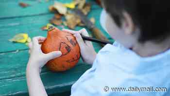 Halloween pumpkins will be too SMALL to carve this year: Drought has left gourds up to 40% smaller - and with tougher skins
