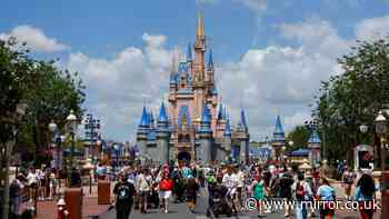 Man finds Disney World ticket from day park opened 55 years ago and price is staggering