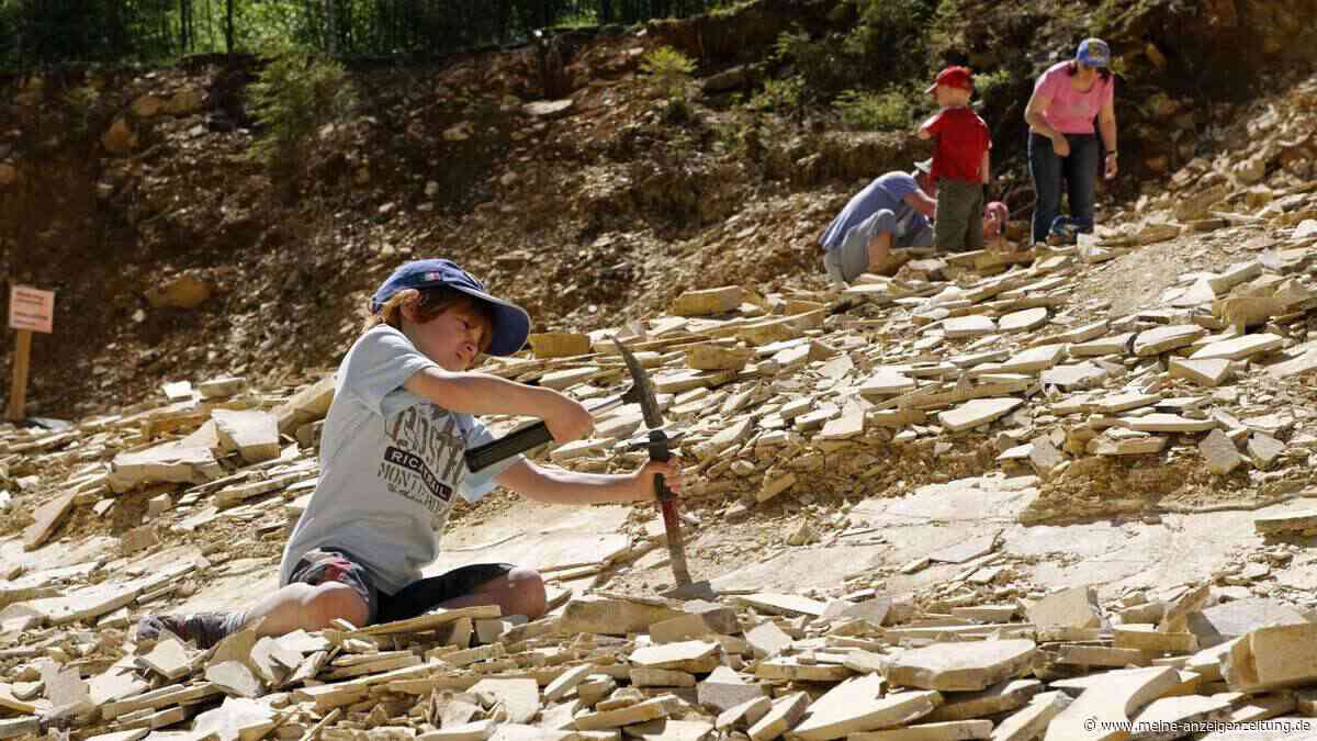 Vier Ausflüge in Bayern, die im Herbst besonders viel Spaß machen sind