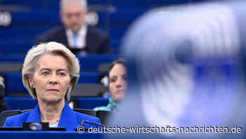 Ursula von der Leyen: Fünf Pleiten und zwei Erfolge