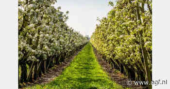 Klimaatadaptatie en nieuwe markten centraal voor Franse AGF-sector op Fruit Attraction