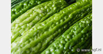 Moestuinieren met Surinaamse gewassen