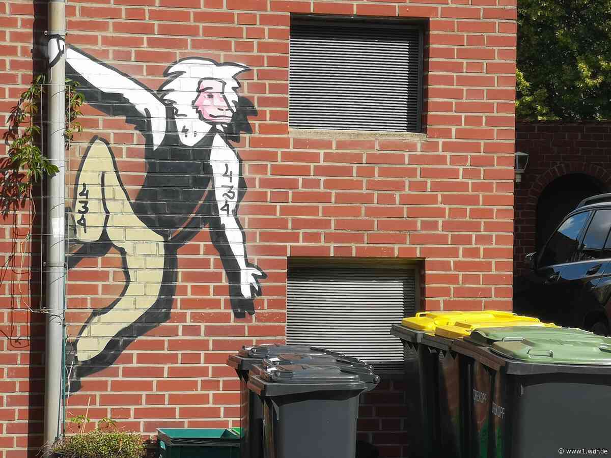 Wer ist das Graffiti-Phantom "434" aus Wegberg?