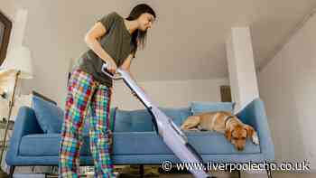 Odours vanish from sofas and carpets when using kitchen staple you probably already own