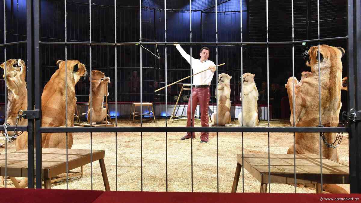 Streit um Tiershows im Circus Krone – Gegner sprechen von „Kontrolle und Angst“