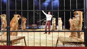Streit um Tiershows im Circus Krone – Gegner sprechen von „Kontrolle und Angst“