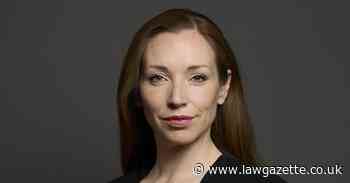 Former minister elected justice committee chief