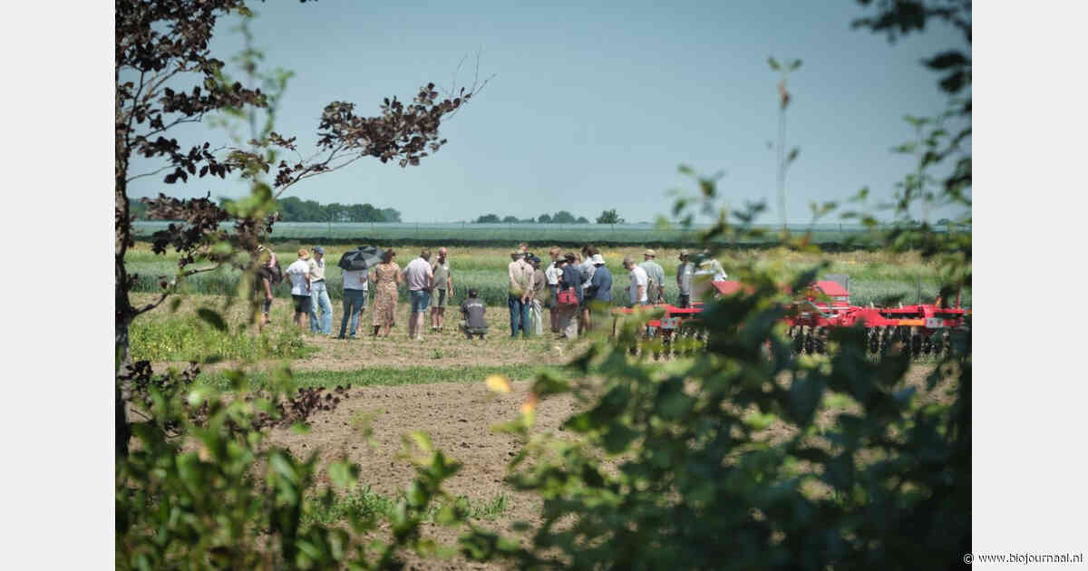De Lingehof test nieuwe manieren om meer mensen bij regeneratieve landbouw te betrekken