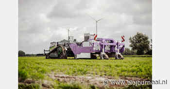 "Samenwerking met de Westhof is cruciaal voor de ontwikkeling van BEAM"