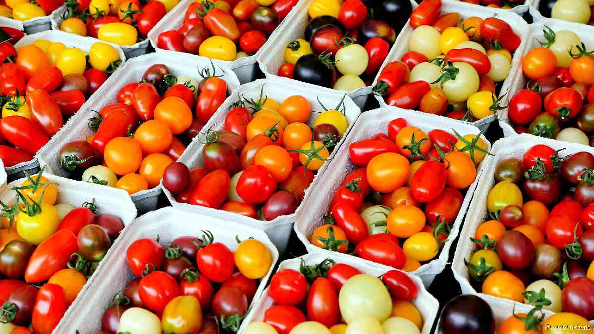 Bekanntes Antioxidans : Stoff in roten Tomaten könnte Gehirnaktivitäten fördern