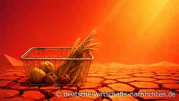 Heatflation: Der stille Inflationstreiber – warum Hitze Lebensmittel verteuert