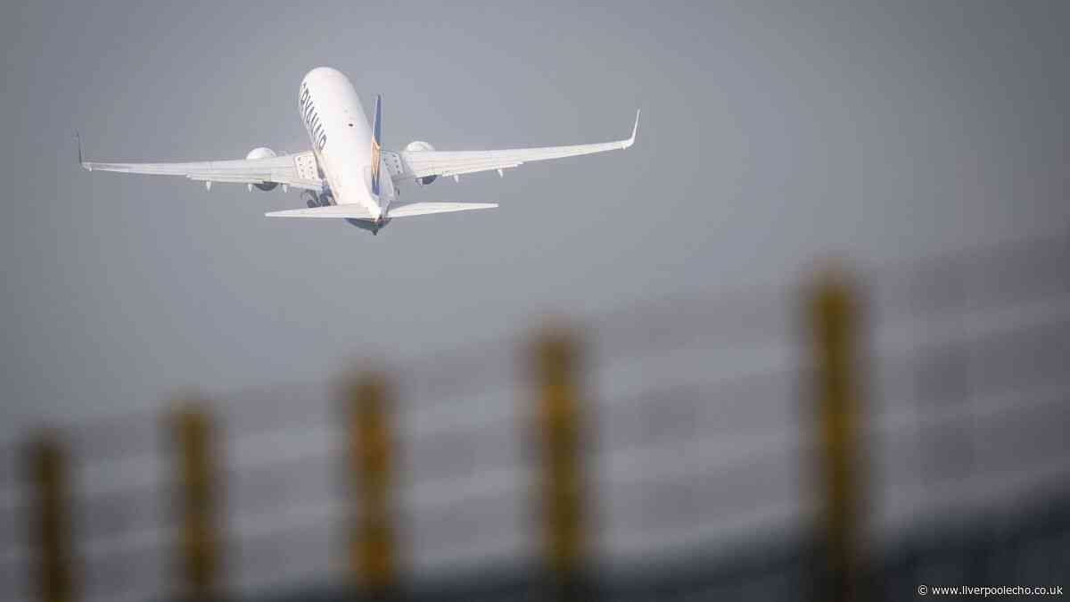 EU airline files for bankruptcy but UK travellers told not to cancel their flights