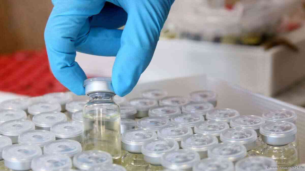 Von Anabolika bis Testosteron: Polizei stellt Dopingmittel bei Kontrollen in Südostbayern sicher