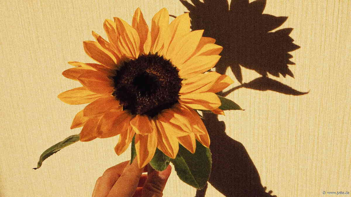 Übergangsmaniküre: Sonnenblumen-Nägel verabschieden wir uns sanft vom Sommer