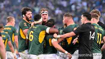 All Blacks legend snaps at Springbok hero in heated on-air spat as finger pointed
