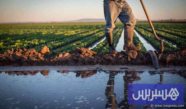 المغرب يدخل الموسم الفلاحي الجديد بأعلى رصيد مائي منذ 10 سنوات