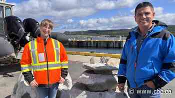 Reef balls are turning an ocean desert into a thriving ecosystem in N.L.’s Placentia Bay
