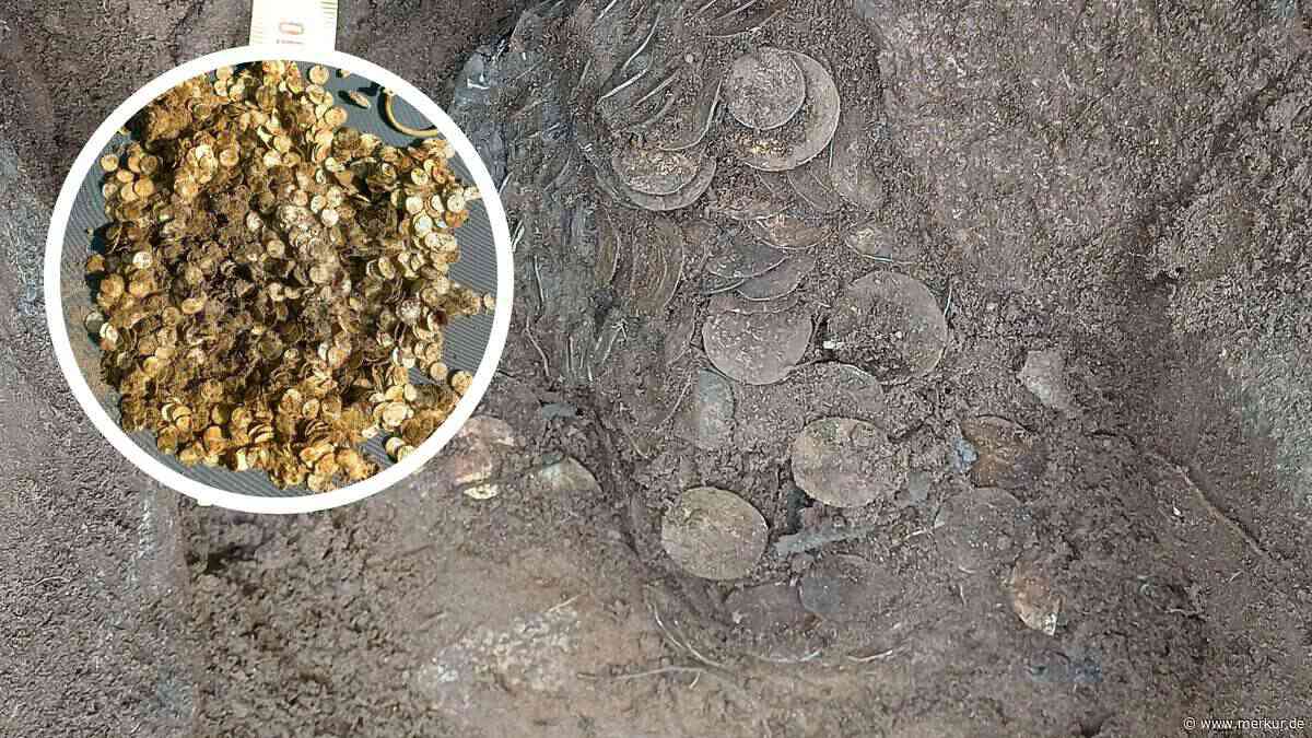 4,5 Kilogramm Silber: Kalle entdeckt Wikingerschatz mit Tausenden Münzen