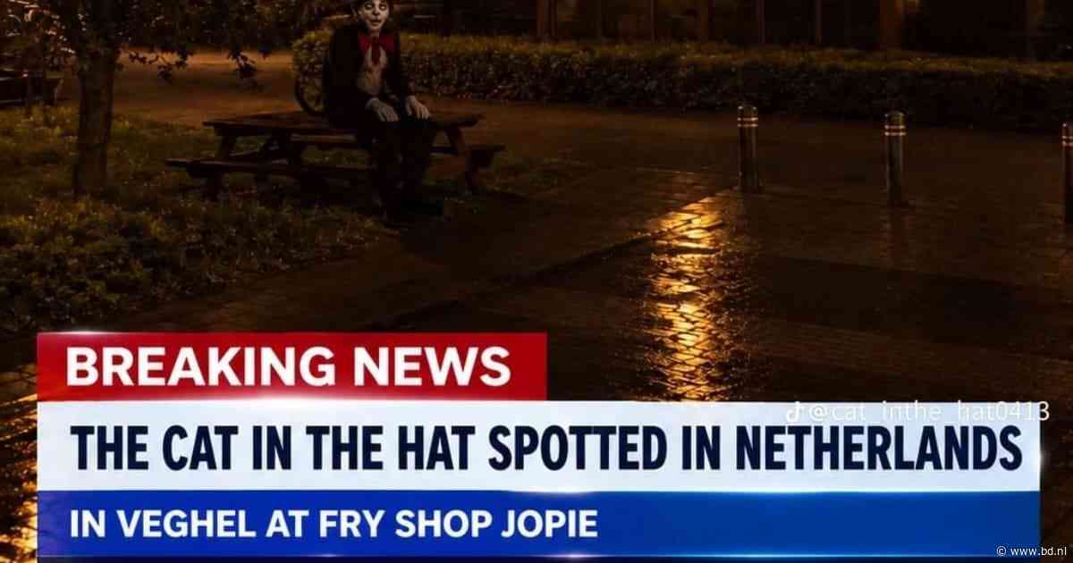 Intimiderende TikTok-trend ‘Cat in the Hat’ bereikt Veghel: 13-jarig meisje doelwit van dreigende berichten
