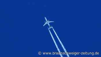 Flüge von Berlin, Hamburg und Frankfurt im Flugplan: Große Airline insolvent
