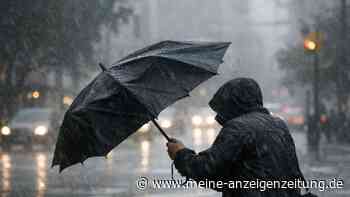 Regenschirme im Test: Ausgerechnet Traditionsmarke versagt